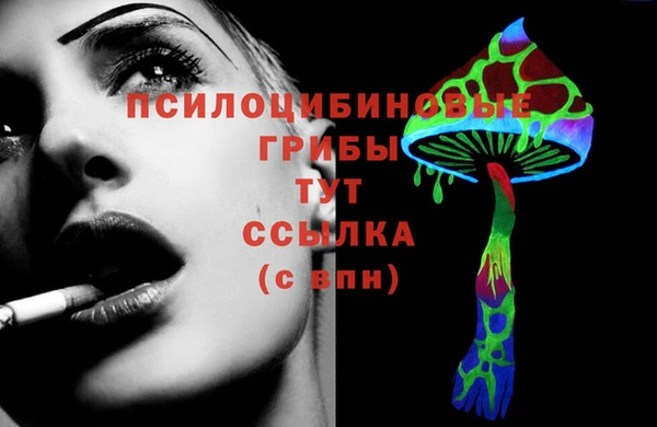 дмт Баксан