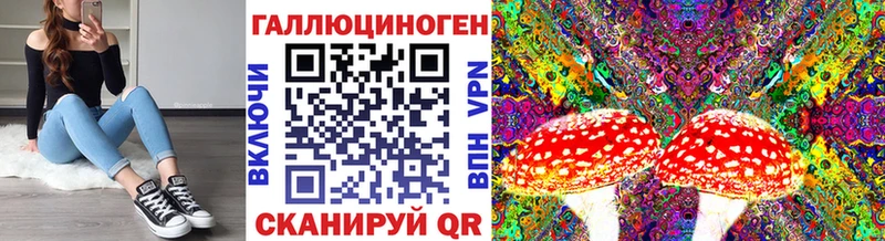 Псилоцибиновые грибы Psilocybine cubensis где купить наркотик Белово