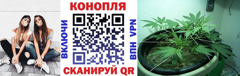 Канабис тримм Белово